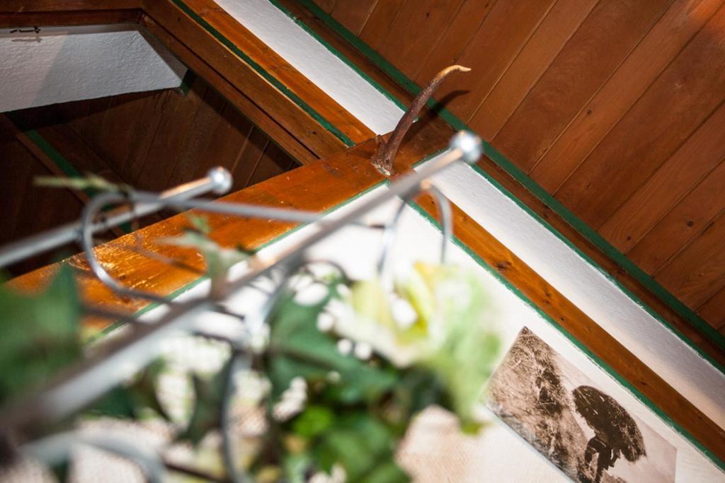 Chalet Appartement Alpenherz Saalbach-Hinterglemm Quarto foto